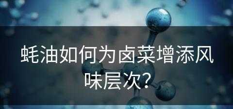 蚝油如何为卤菜增添风味层次？